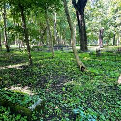 Der alte evangelische deutsche Friedhof mitten in der Stadt