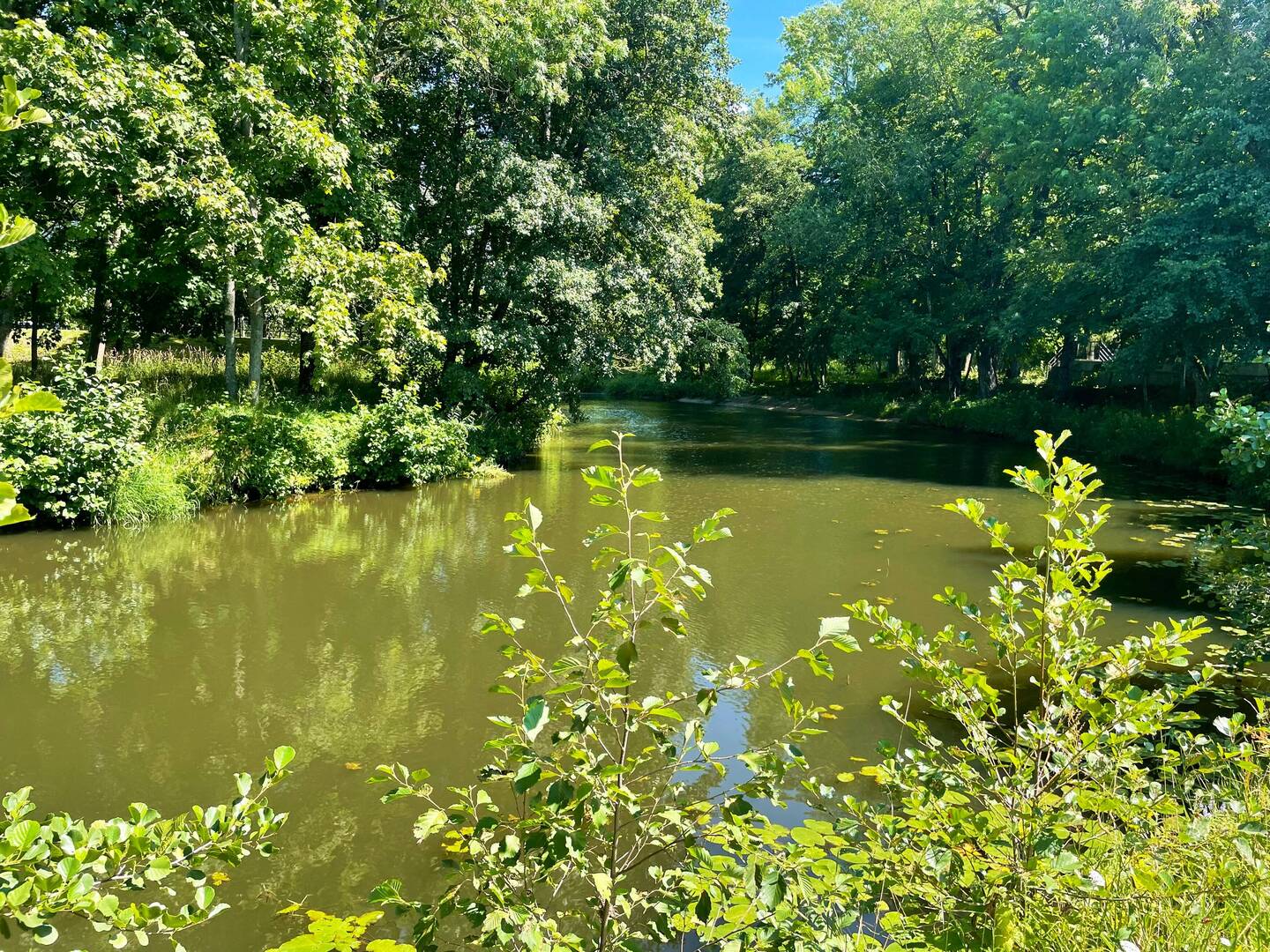 Ein Park im Heydekrug