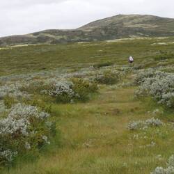 Now well above the treeline