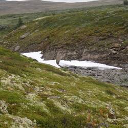 ... and snow in some of the lower places too