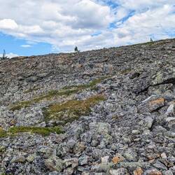 Mitten in den Wäldern und auch hier am Gipfel viel Geröll, sehr steinigen Wege - Gletscherreste