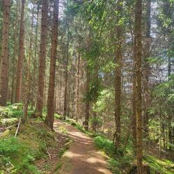 Endspurt zum Auersberg