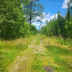 Die ehemaligen Straßen sind noch auszumachen.