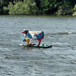 On the lake by the hotel