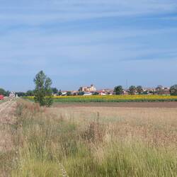 Blick auf Carrión de los Condes.
