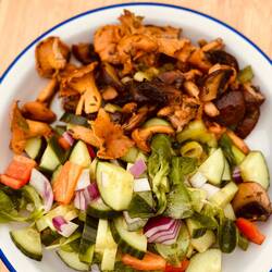 Frisch aus dem Wald 🌳 auf den Tisch 🍽️