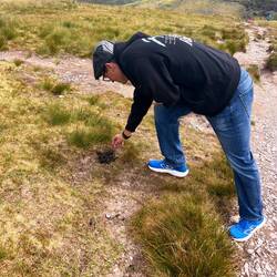 Marty still thinking that little round random objects on the ground must be nuts - talk about nuts