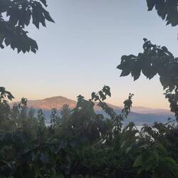 Sonnenaufgang auf der Farm