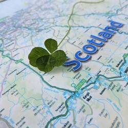 im nächsten Jahr kommen wir wieder :-)