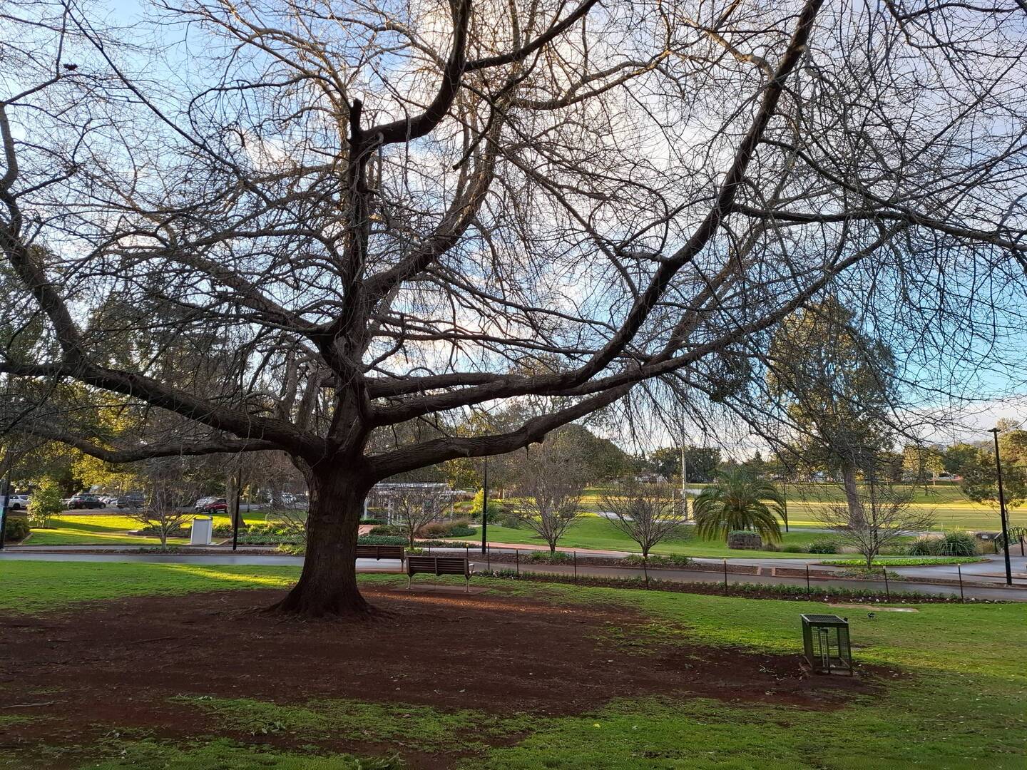 Queens Park in its winter clothes