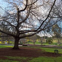 Queens Park in its winter clothes