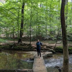 These dense forests are everywhere in Chapel Hill