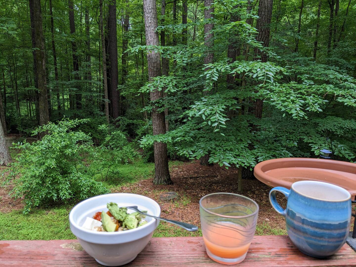Not a bad view for breakfast!