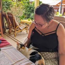 Surprise restaurant cat!