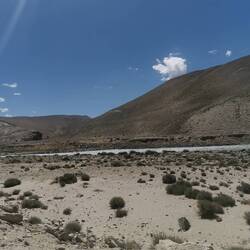 Es gibt noch immer Karawanen