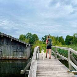 Wir huschen aber die letzten Meter über die Brücke und..