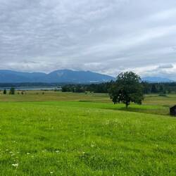 Vom Moor/Moos geht es zurück in die anliegenden Gemeinden.