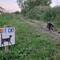 Vicky had fun making signs to warn towpath users that Abby might be out.