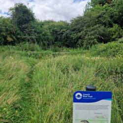 A nature pond near Saul, created by students from Gloucesters College to attract Great Crested Newts