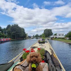 Waiting for another boat to pass through the open swingbridge at Saul Junction