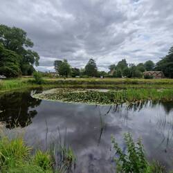 Frampton Village pond