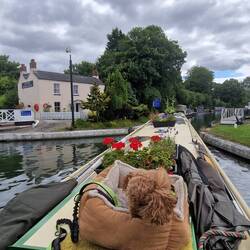 Turning into the Stroudwater Arm