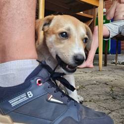 Hümpu het mini neue schue verhützt 😂