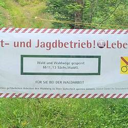 Die Damen aus Dresden trauen sich nicht - wäre kein Problem gewesen.