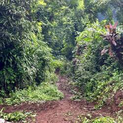 Das ist die "Straße" die Google Maps uns empfohlen hat 😂