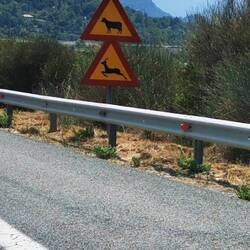 Wurde uns heute mehrere Male angezeigt, aber gesehen haben wir keine