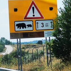 Diese haben wir auch nicht zu Gesicht bekommen