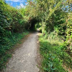 Yay! I love the tree tunnels