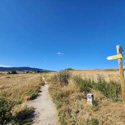 Jacob's Way? I found out this is an alternate name for this camino