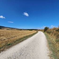 Beside the fields