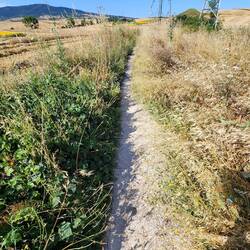 Narrow path