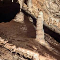 Bijnaam: de heks en de kat