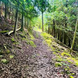 Adventure Trail bridal Veils Falls