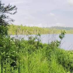 Wilson lake