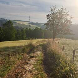 ... auf dem Weg runter ins Dorf...