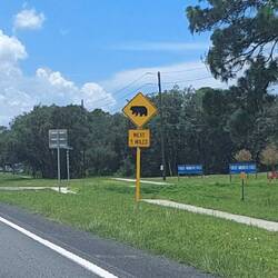 ...zur Abwechslung mal ein Hinweisschild auf Bären - hmm, Bären in Florida?! 🤔