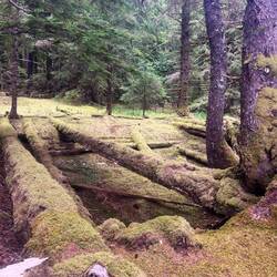 Tanu Island Watchman site