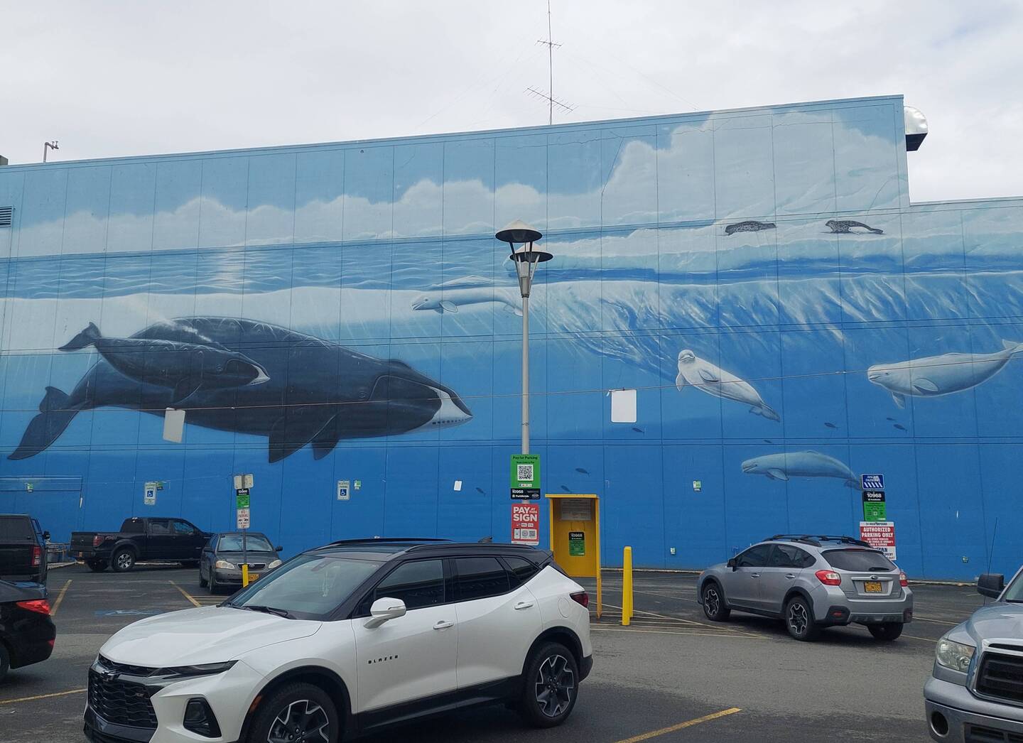 400-foot-long mural of beluga and bowhead whales