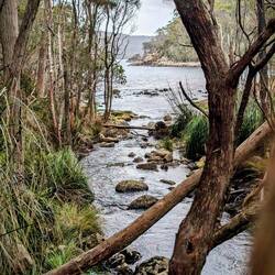 On the Bivouac Bay Hike