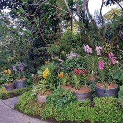 Botanical gardens
