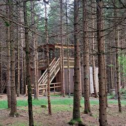 Ups... eine Siedlug mitem im Wald.... 26 Holz-Häuser... schön & speziell...