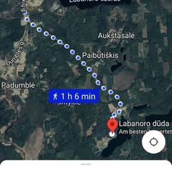 Die "eigentliche" Route. Und: Hier im Baltikum bietet Google Maps die Option FAHRRAD gar nicht an!