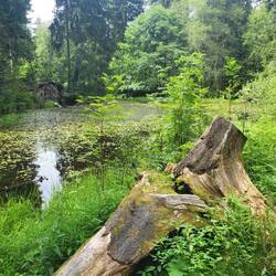 Hier sammelt sich das Wasser direkt aus der Quelle.