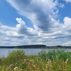 Die Talsperre Muldenberg.