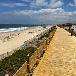Beautiful boardwalks