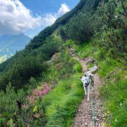 Zu lange haben wir uns aber nicht auf, es wartet schließlich Kuchen im Tal!